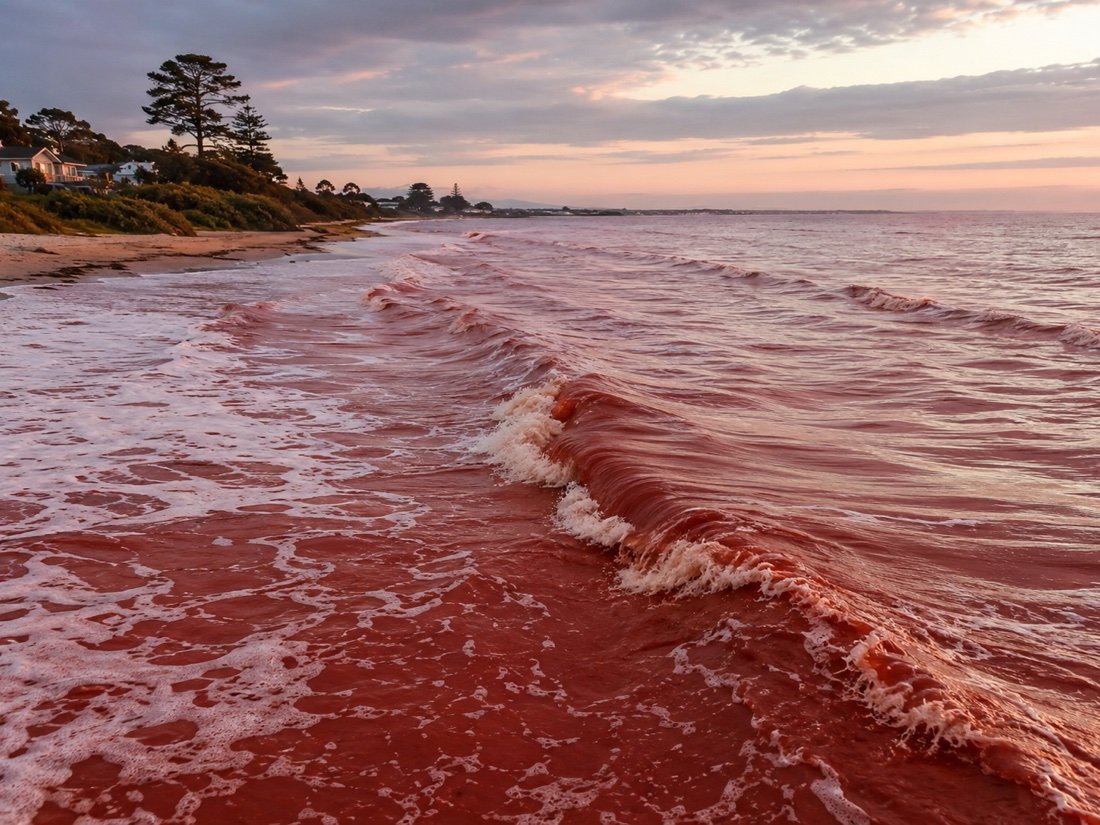 RedMetrics / TideAlert